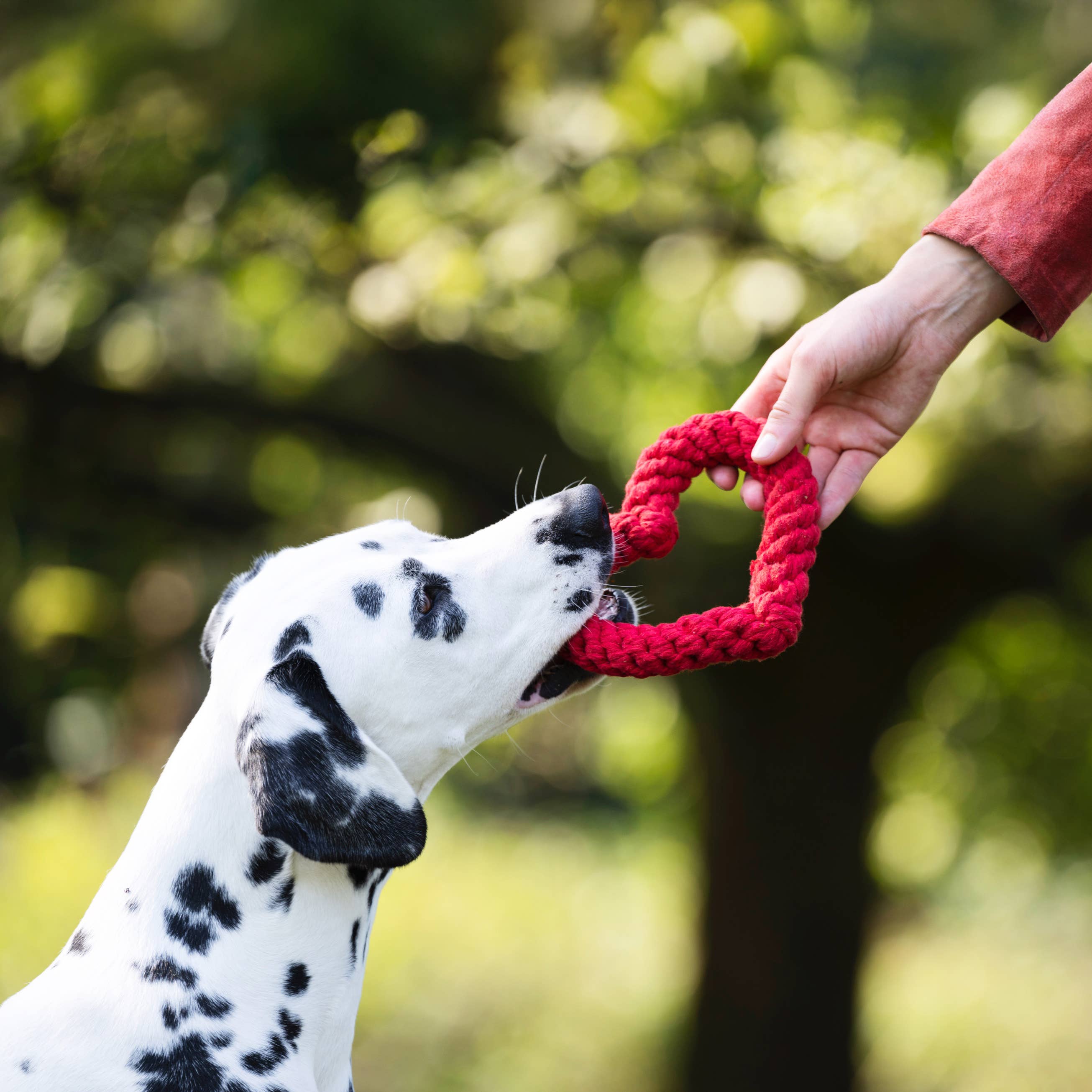 LABONI - Volentis GmbH - Wholesale Pet Rope Toy - Dog - Hertha Heart3