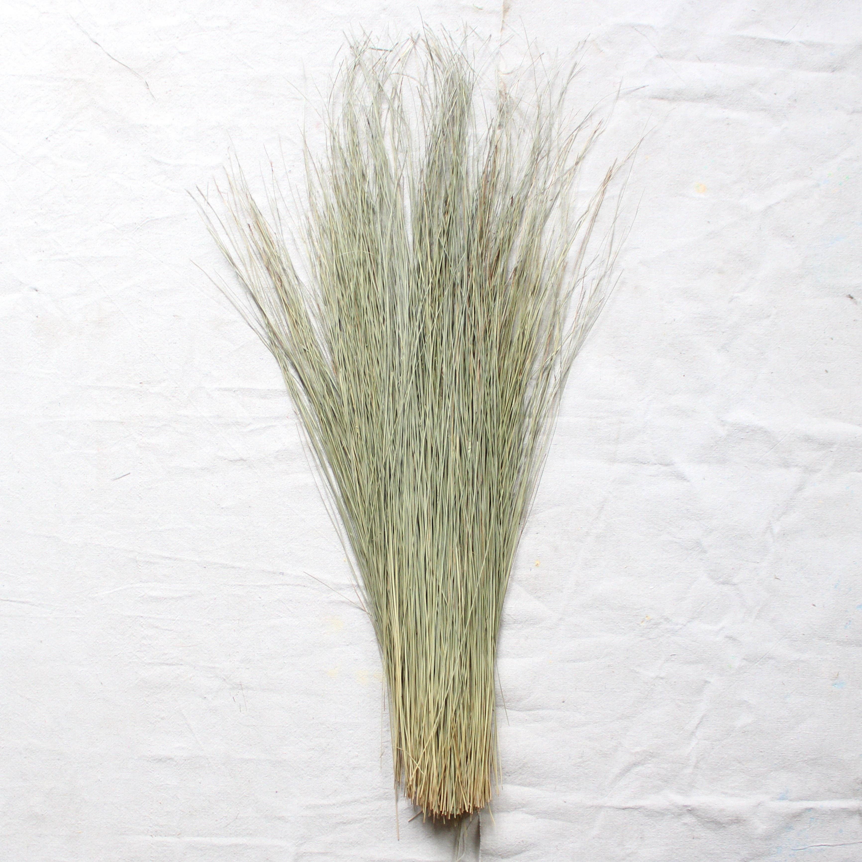 Natural Dune Grass - Dried for wholesale on Faire1
