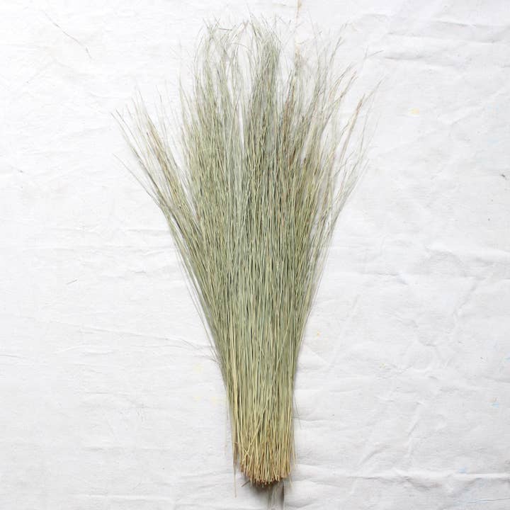 Natural Dune Grass - Dried for wholesale on Faire1