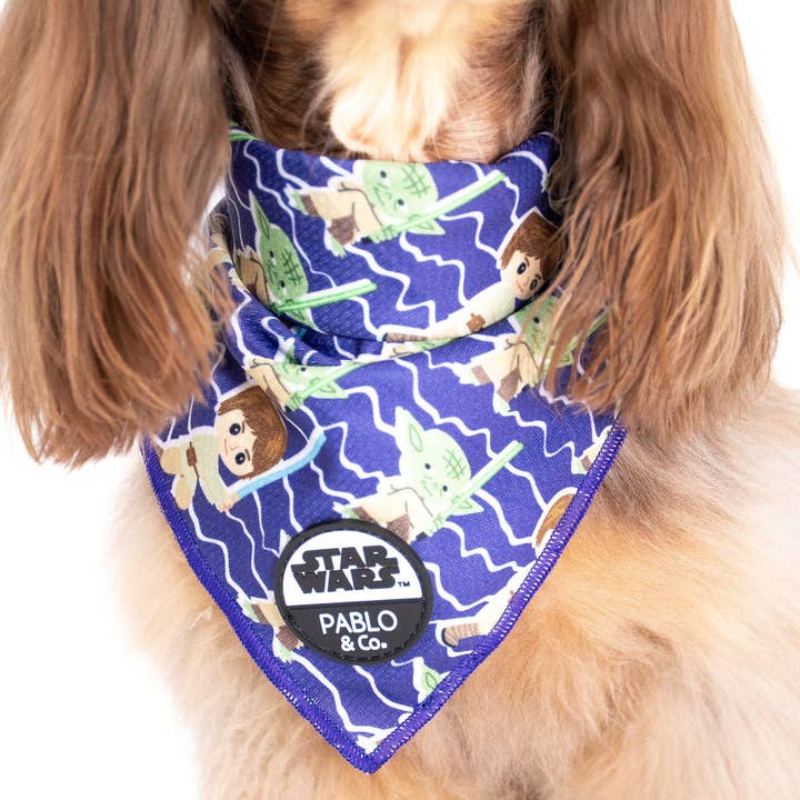 Pablo & Co. Boutique - Wholesale Pet bandana – Dog - Luke Skywalker & Yoda: Dog Bandana
