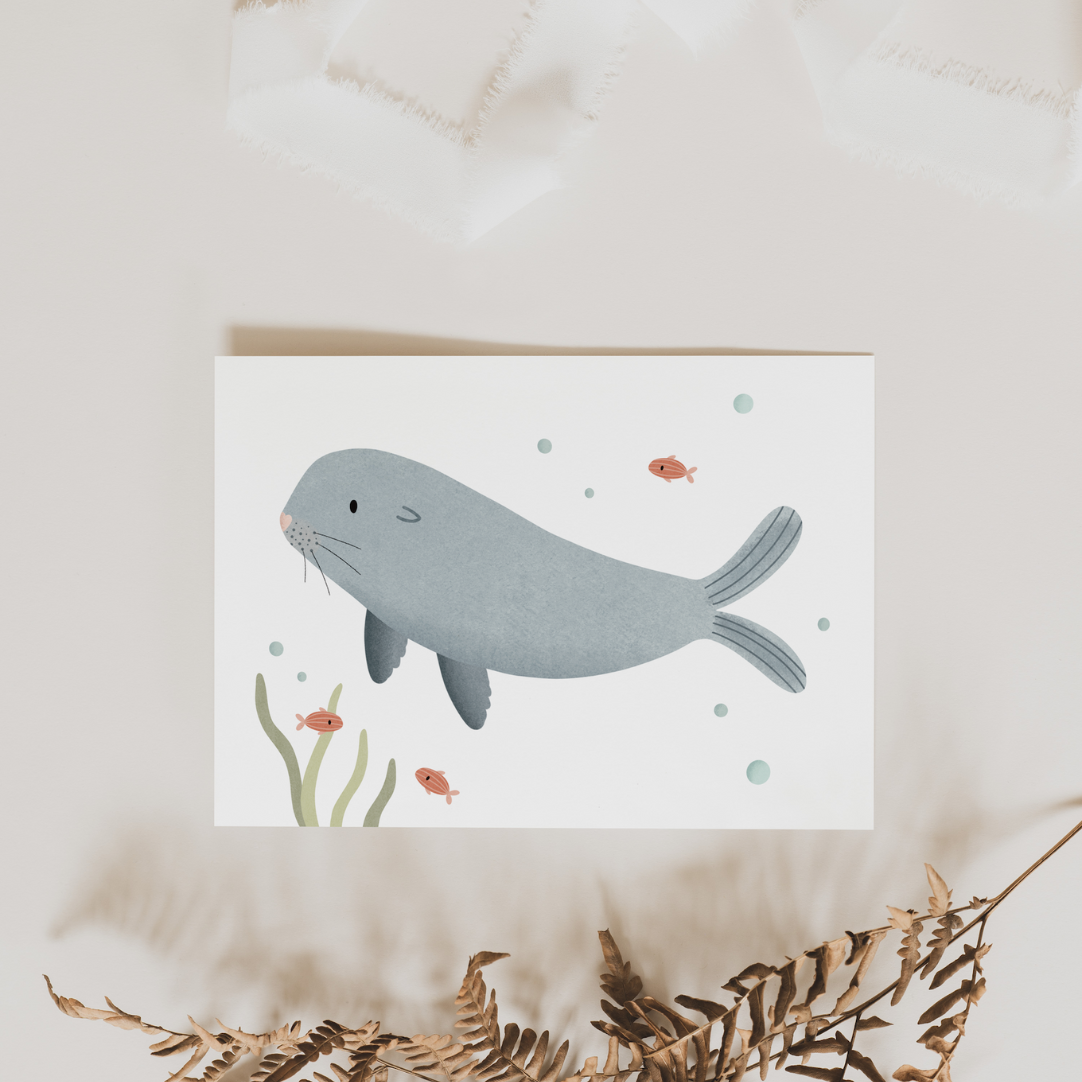 Tilda&Theo - Wholesale Birthday Card - Seal postcard - marine animals seal children's card birthday1
