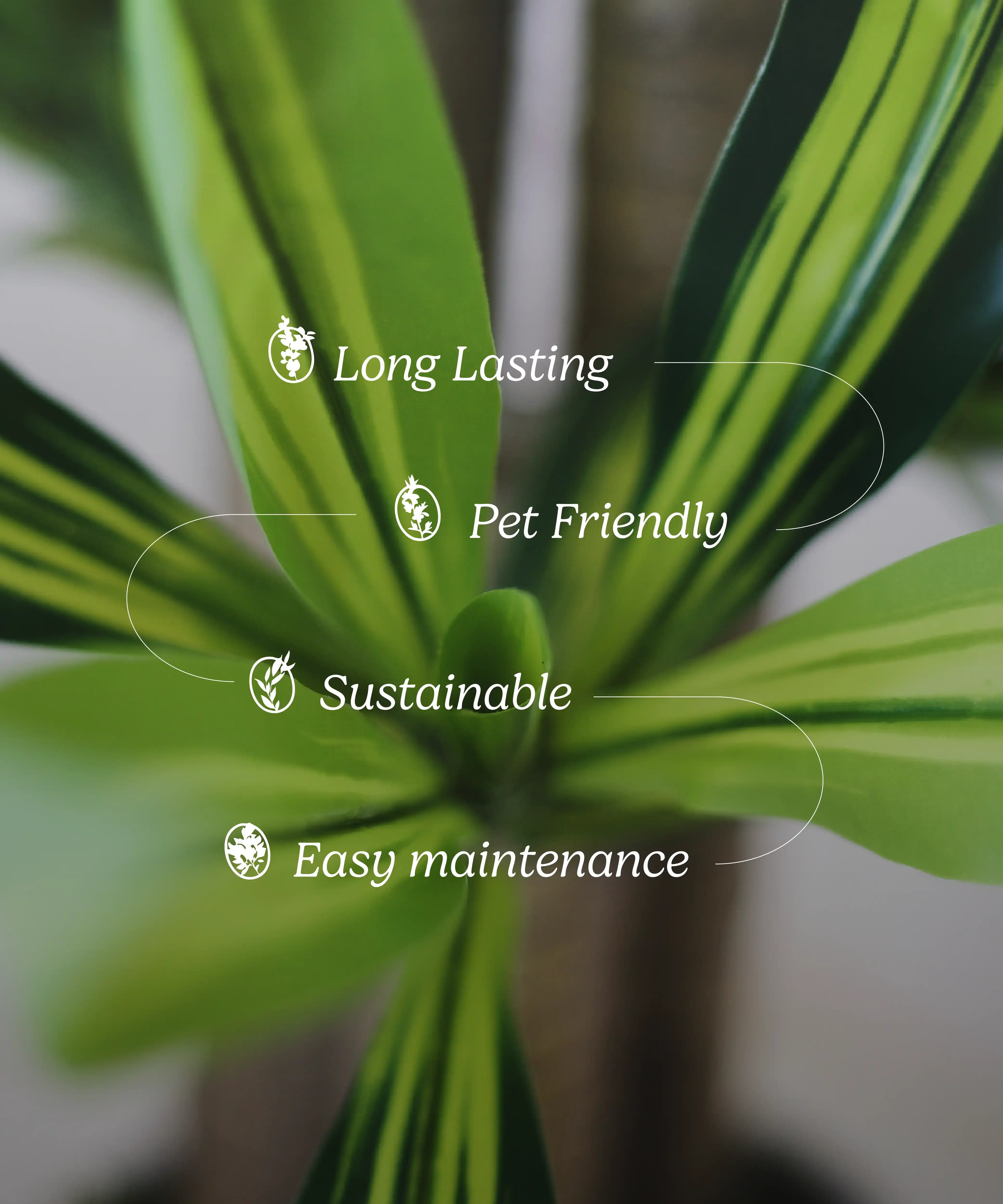 Maia Shop: No Duties for the US - Wholesale Artificial Plant - 4' Artificial Dracaena Tree5