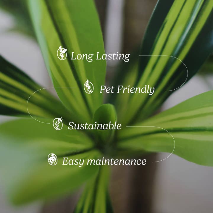 Maia Shop: No Duties for the US - Wholesale Artificial Plant - 5' Artificial Dracaena Tree 5