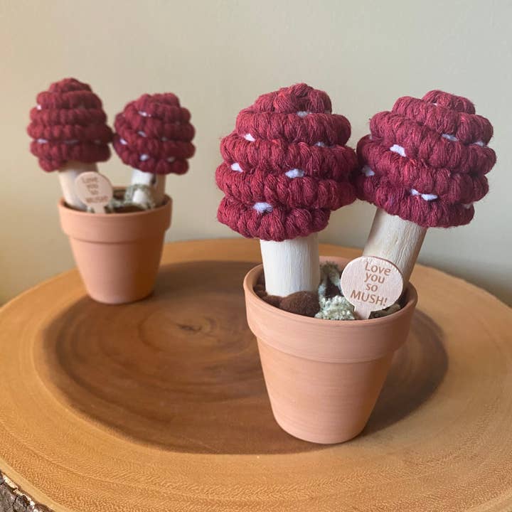 ForgetBKnot - Wholesale Artificial Plant - “Love you So Mush” Macrame Mushroom Arrangement6