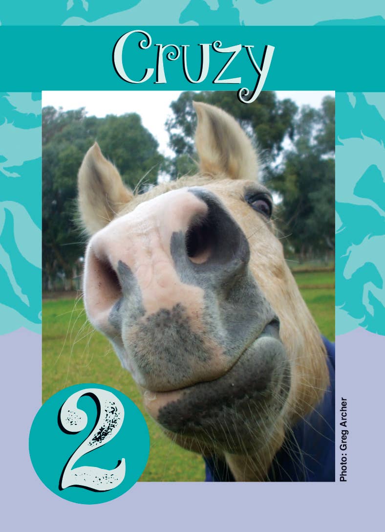 Horse Hollow Press | Pretty Snarky Equestrian Cards|Stickers - Wholesale Card Game - Fun Horse Go Graze Card Game for Kids & Families –Gift Ready8