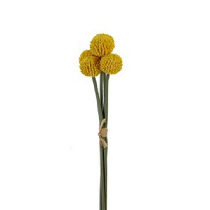 16" Billy Balls in oro giallo 2150140YL per la vendita all'ingrosso da parte di Trendy tree