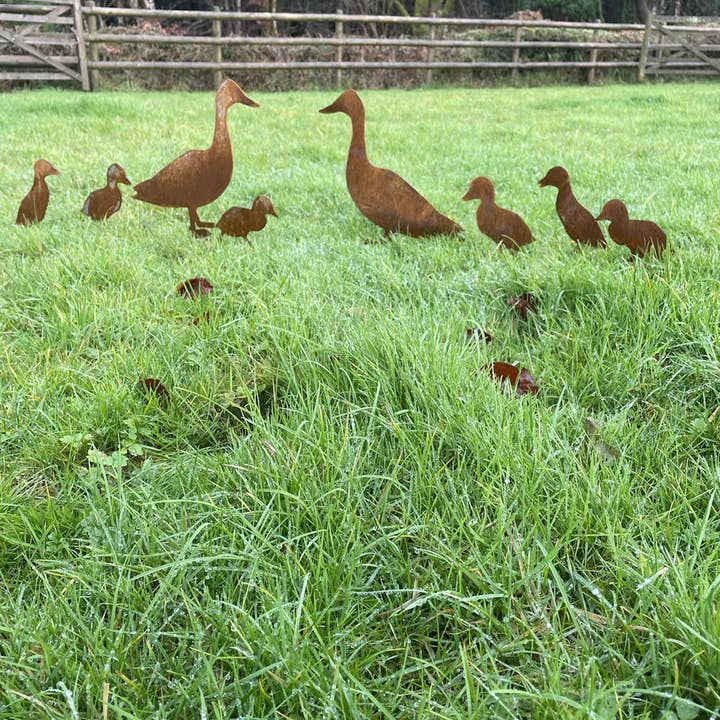 Beechwood Trinkets - Vente Bibelots/décorations d'extérieur - Famille de canards rustiques