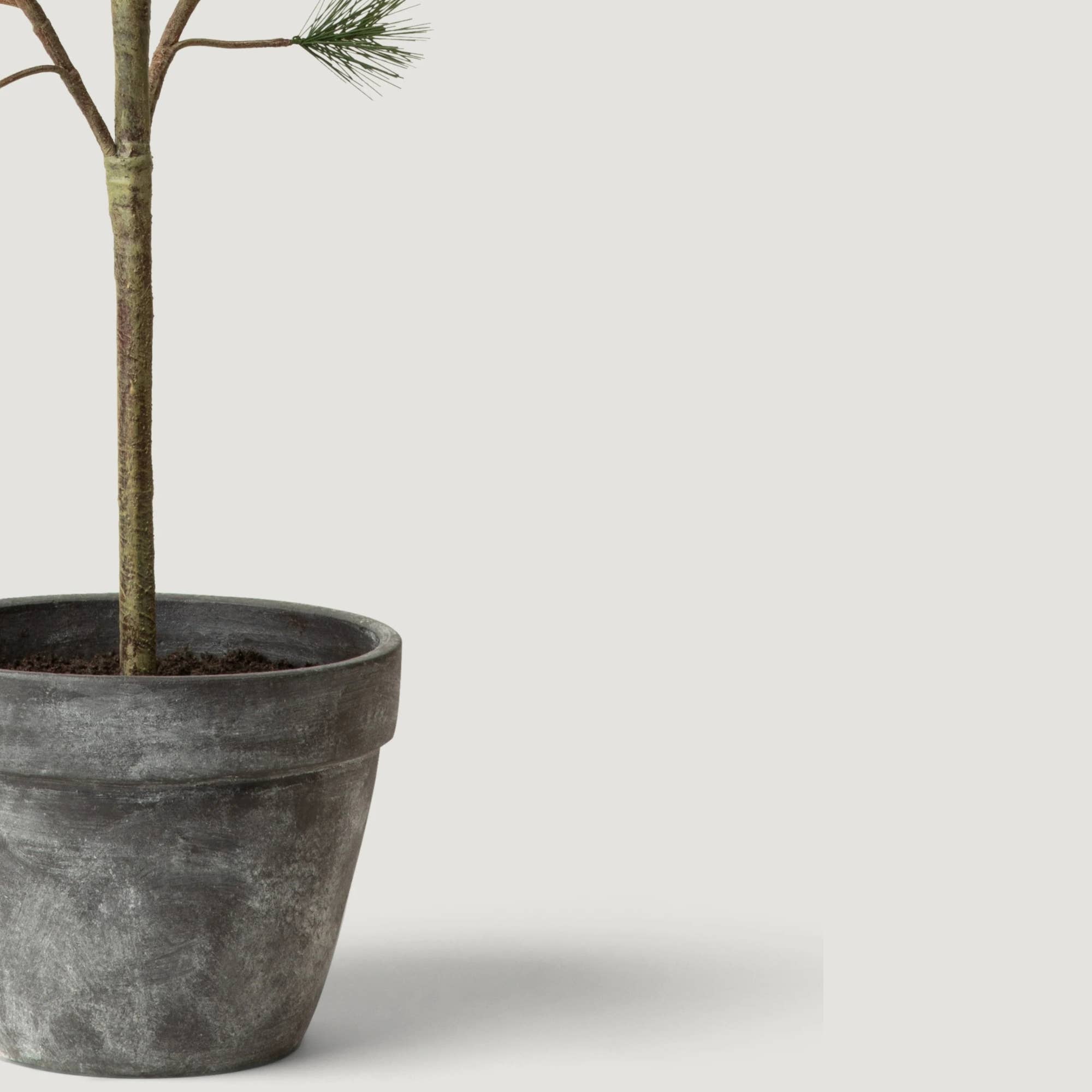 Afloral - Vente Plantes artificielles - Pin sylvestre en pot - 44"2