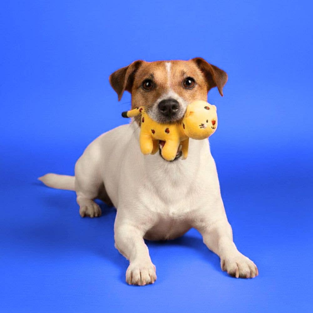 JAMPY - Wholesale Pet Plush Toy - Dog - Pinuccia the Tiger Plush Dog Toy for Dogs by Jampy2