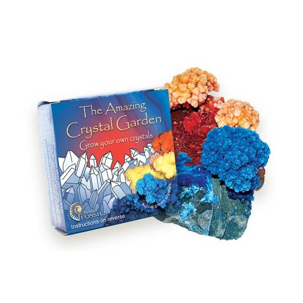 Science and Nature - Wholesale DIY craft kit – Child - Amazing Crystal Garden (Display of 48)1