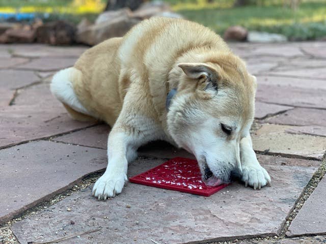 SodaPup Dog Toys – wholesale Pet food mat – Dog – Heart Design Valentine Enrichment Lick Mat10