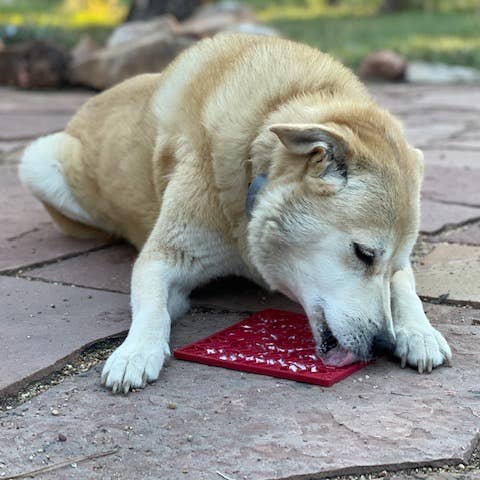 SodaPup Dog Toys – wholesale Pet food mat – Dog – Heart Design Valentine Enrichment Lick Mat10