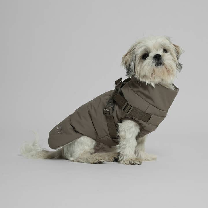 Staey - Wholesale Pet Coat - Dog - Vera Dog Coat with Harness | Sage1