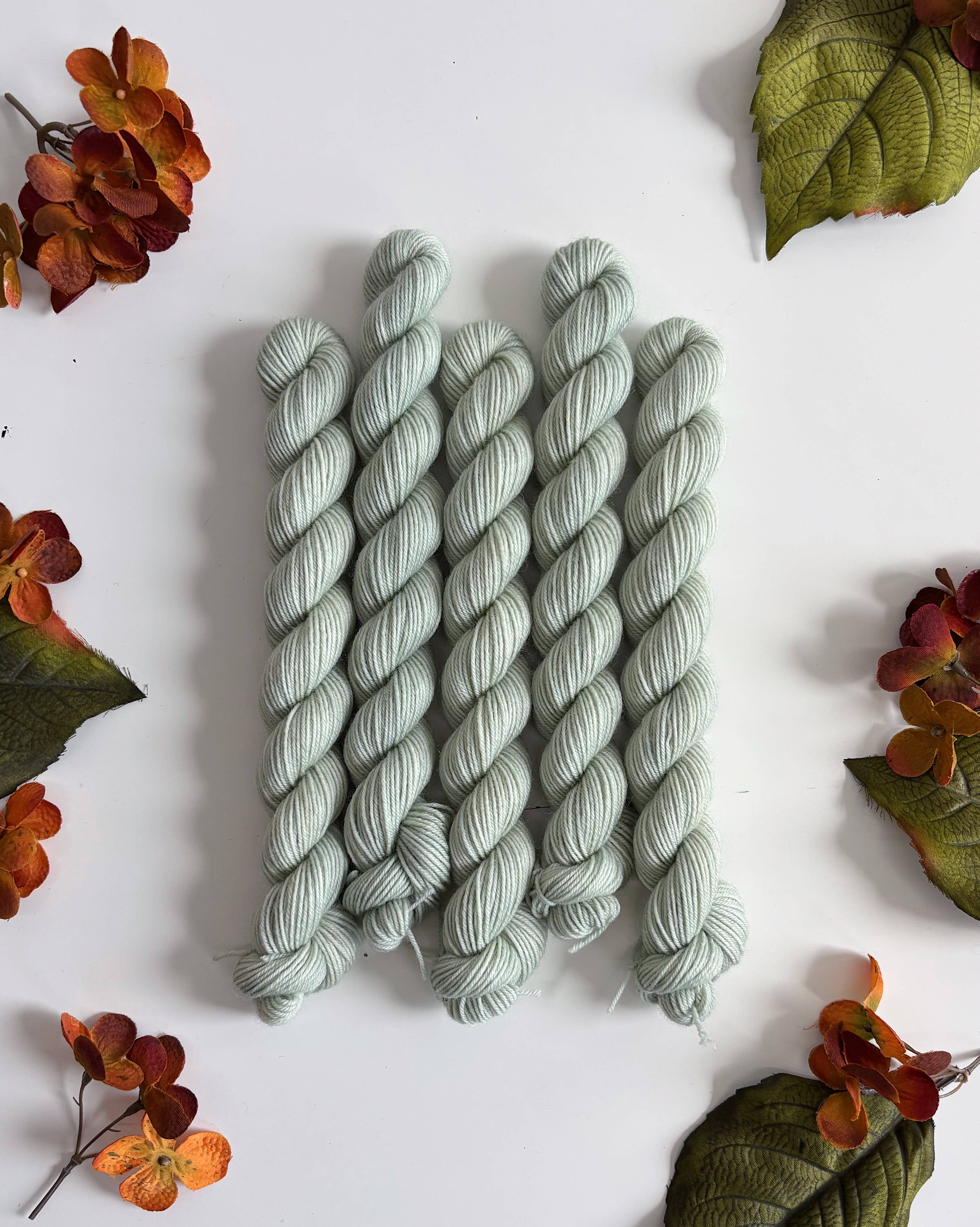 Coates & Co. - Vendita all'ingrosso Lana - Filato Cottage Sock • Mini matassina da 20 g10