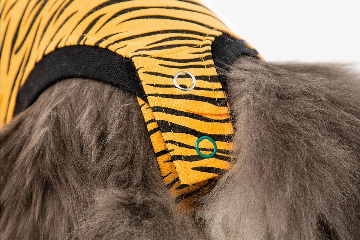 Suitical – wholesale Pet bodysuit – Cat/dog – Recovery Suit - Cat2