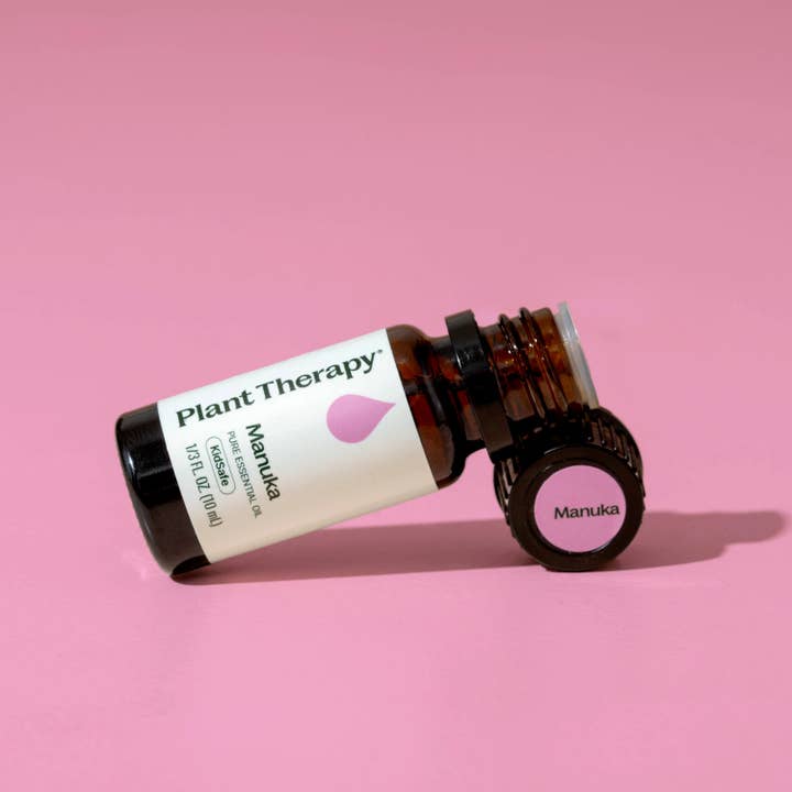Plant Therapy - Venta al por mayor Aceite esencial - Aceite esencial de manuka 10 ml