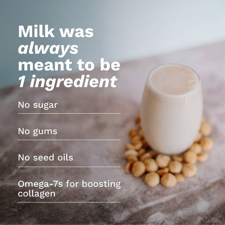 House of Macadamias - Wholesale Non-Dairy Milk - 100% Macadamia Milk (12 Packs)4