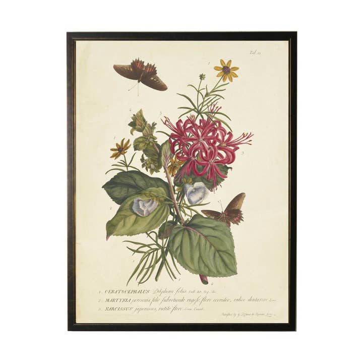 Vintage Floral And Butterfly Print for wholesale by Antique Curiosities Inc