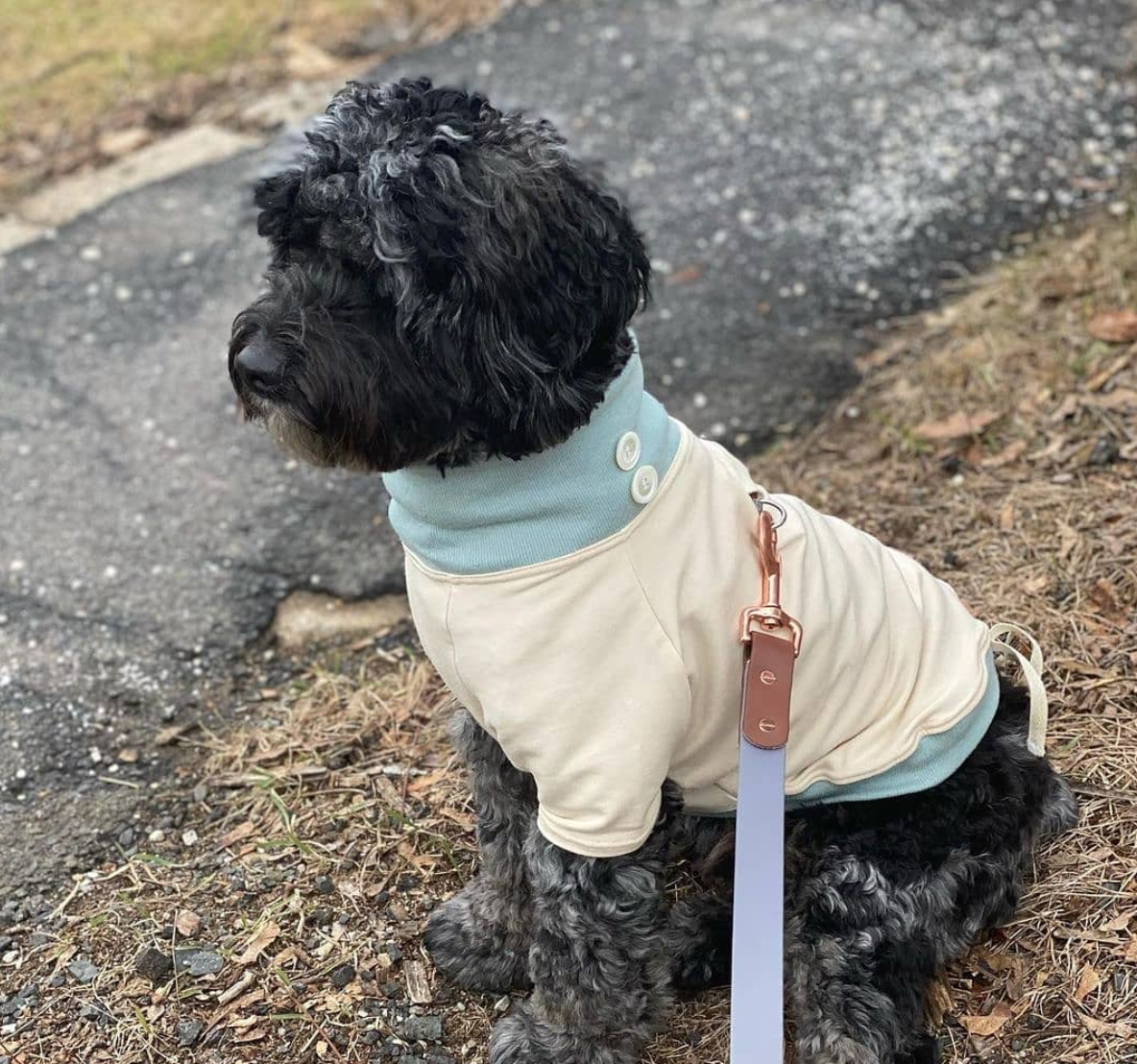 Eco-Pup – Großhandel Haustier-Pullover – Hund – ARCADE-PULLOVER2