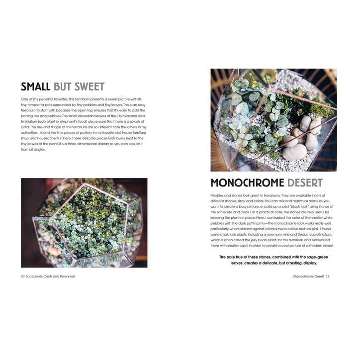 Simon & Schuster - Wholesale Book - Adult - Terrarium Imaginarium by Isabelle Palmer