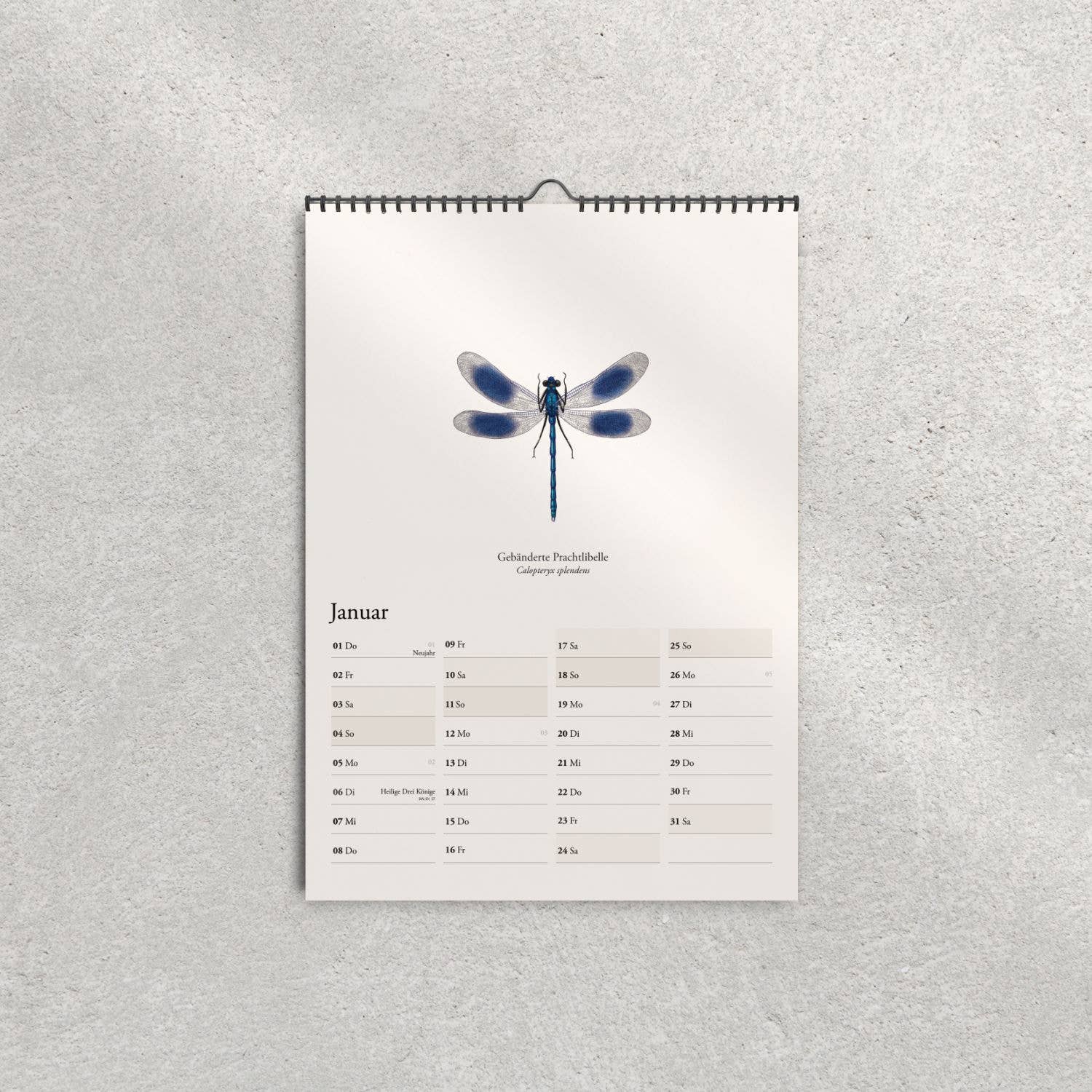 Terillu - Wholesale Calendar - Wall calendar 2026, calendar native dragonflies in A3 format1