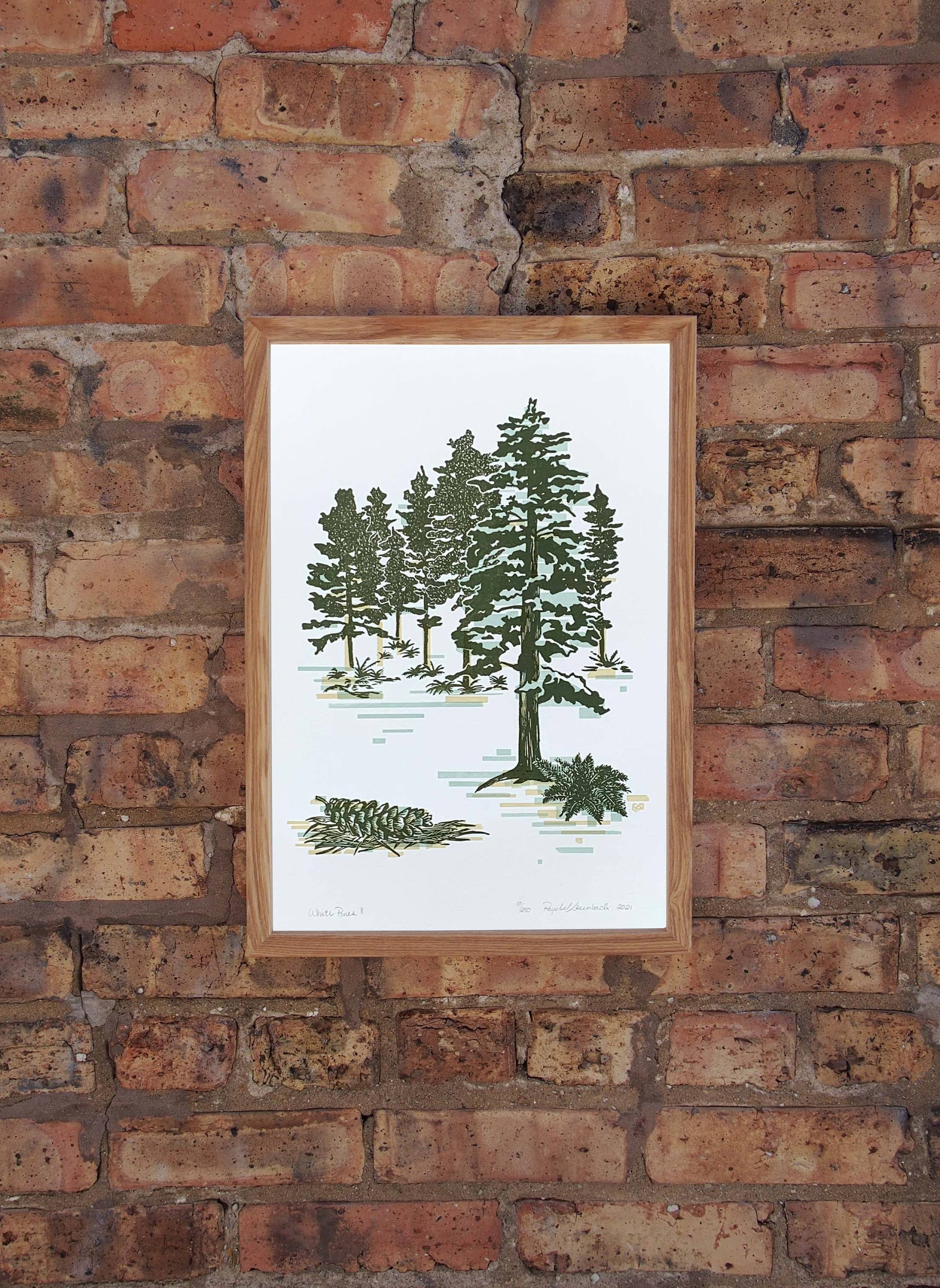 Current Location Press - Wholesale Art Print - White Pines II - Limited Edition Letterpress Print1