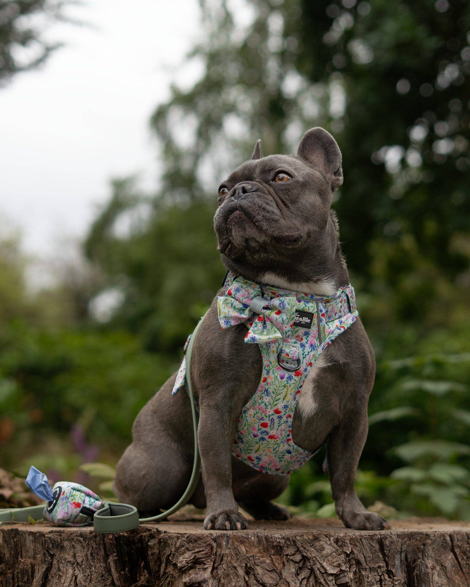 The aDoraBle Pooch Company - Wholesale Tuig voor huisdieren - Hond - Hike & Go Lite™ Harnas - Wildflower Meadow13