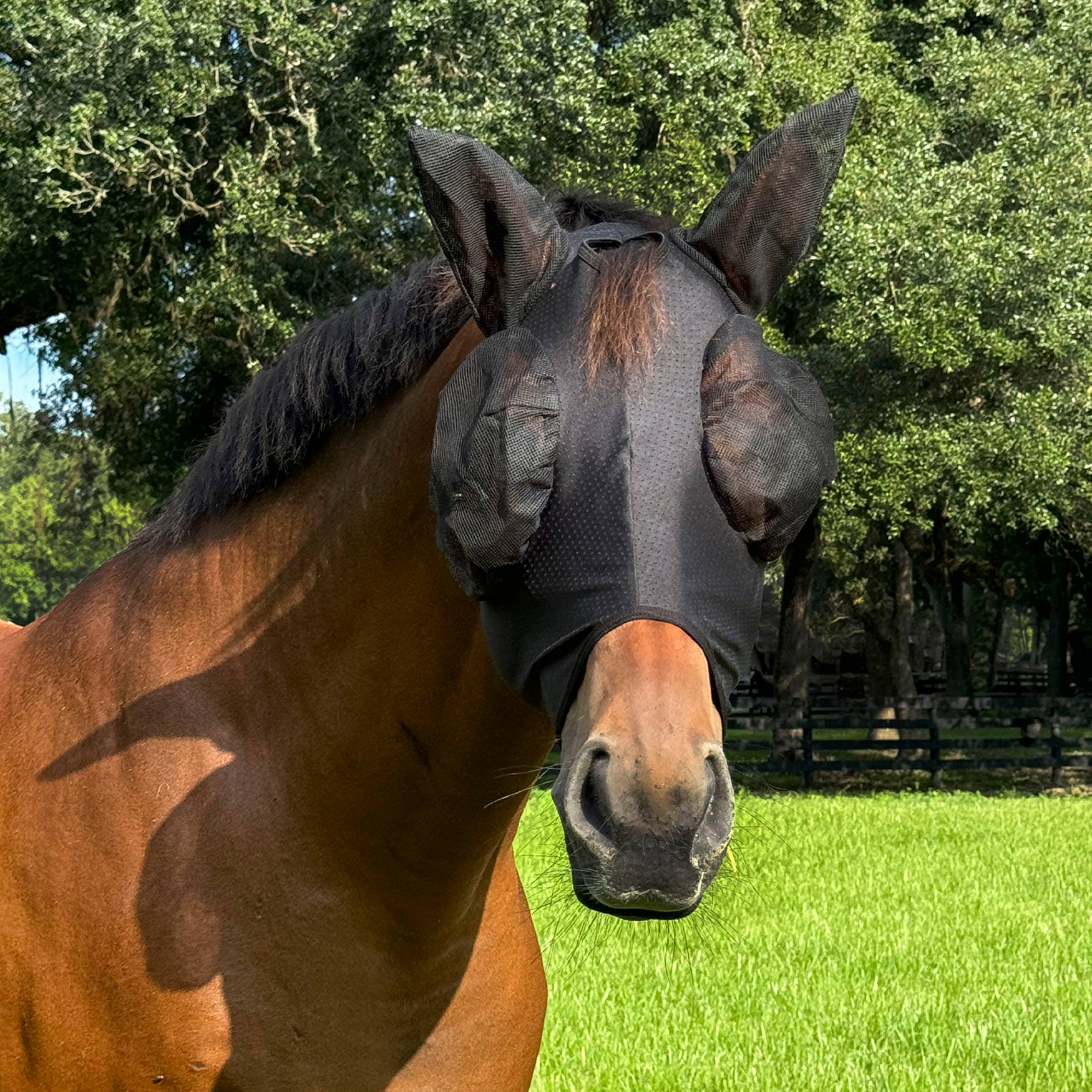 ACE Equestrian - Wholesale Horseback Riding Gear - PRO4MANCE | Com4rt Stretch Breathable Fly Mask0