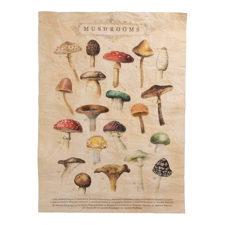 Paper Wall Tapestry - Mushrooms 26 X 36 Set 2 for wholesale by Manual Woodworkers and Weavers, Inc.