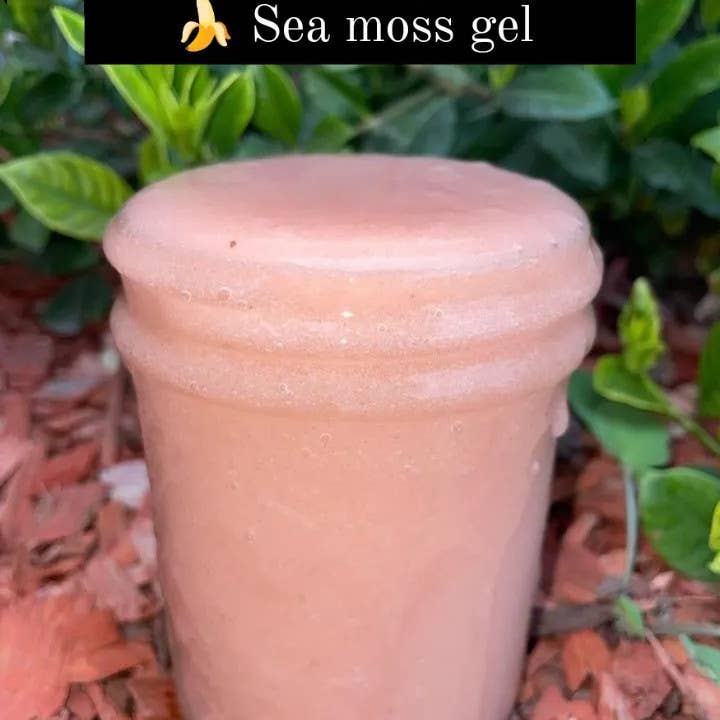 Joanne's Creative Corner llc - Wholesale Oral Supplement/Vitamin - Premium Sea Moss Gel5