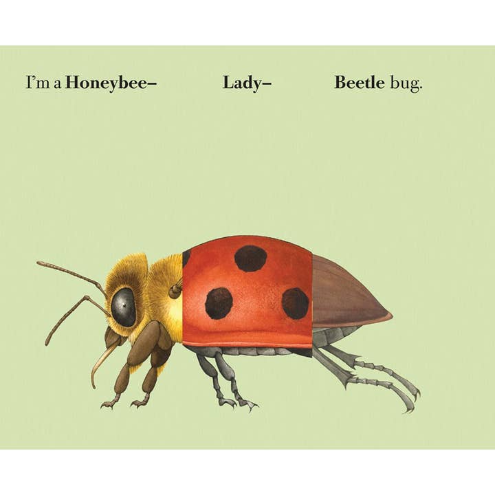 W. W. Norton - Wholesale Coloring & Activity Book - Kids & Baby - Build-A-Bug4