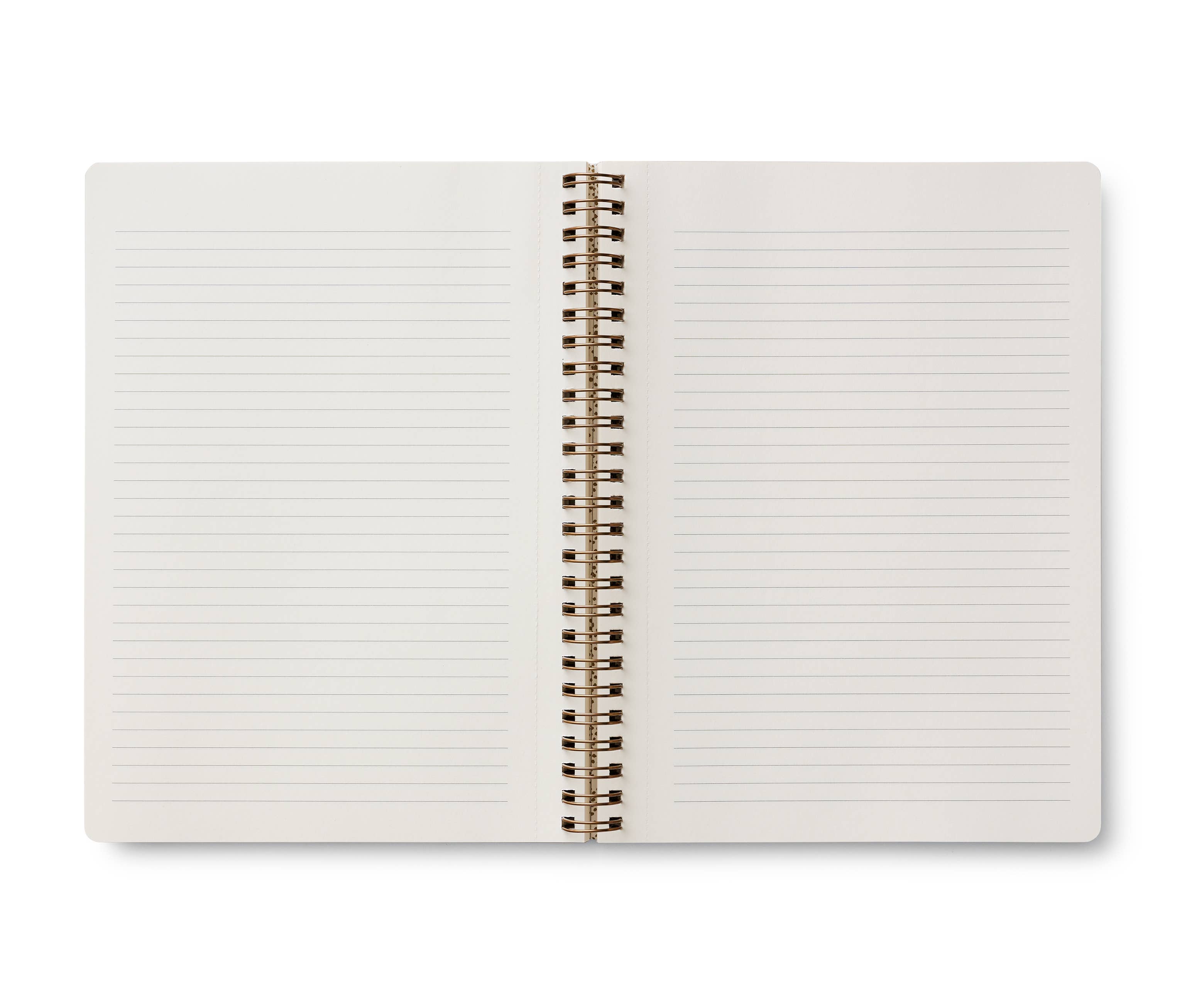 Rifle Paper Co. - Wholesale Notebook - Curio Spiral Notebook1