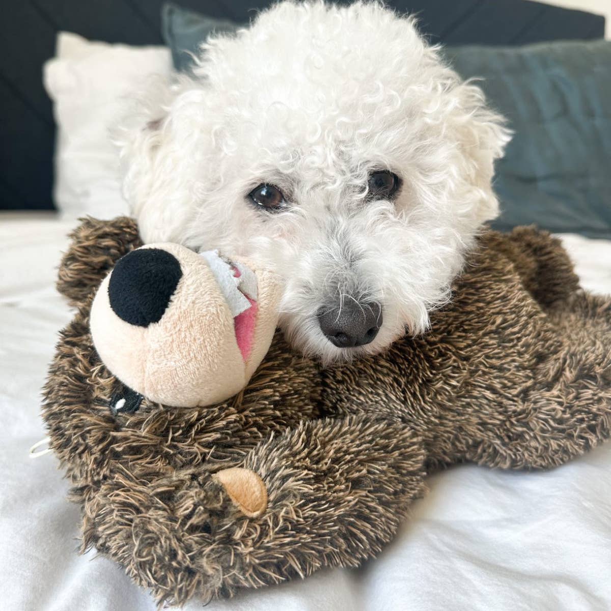 Tall Tails - Wholesale Pet Rope Toy - Dog - Grizzly Rope Body Dog Toy6