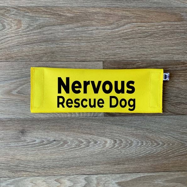 Nervous Rescue Dog for wholesale by Best Friend Supplies Co
