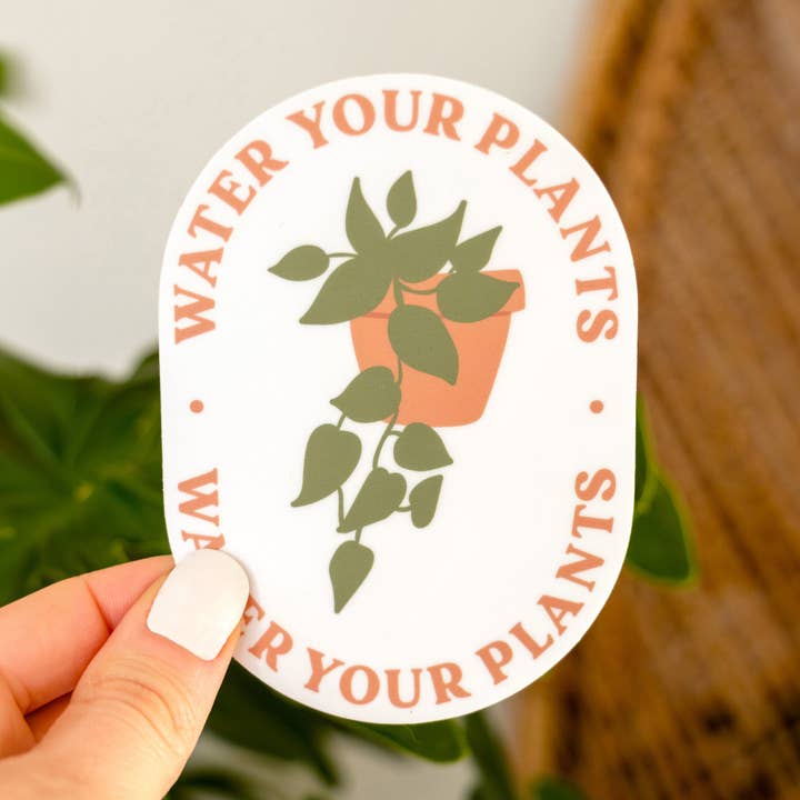 Water Your Plants Sticker for wholesale by The Anastasia Co