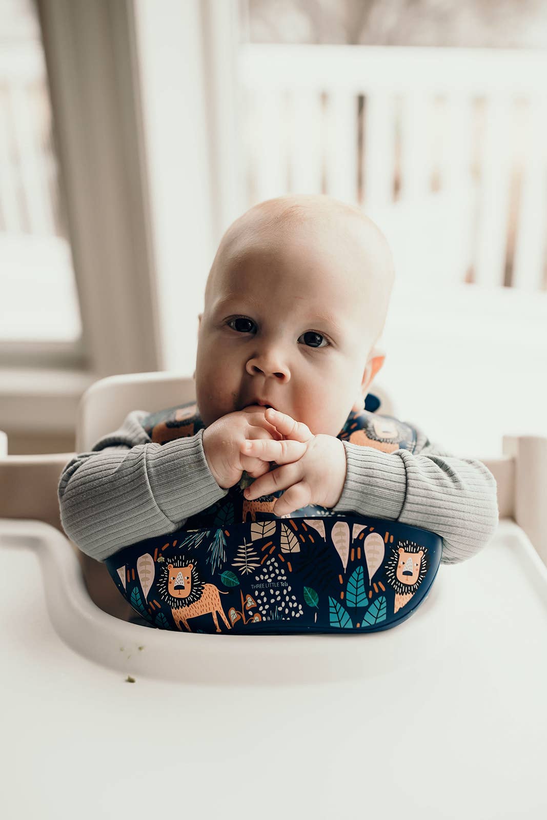 Three Little Tots - Wholesale Bib - Baby - Zoo Lion Print Silicone Bib with Crumb Catcher11