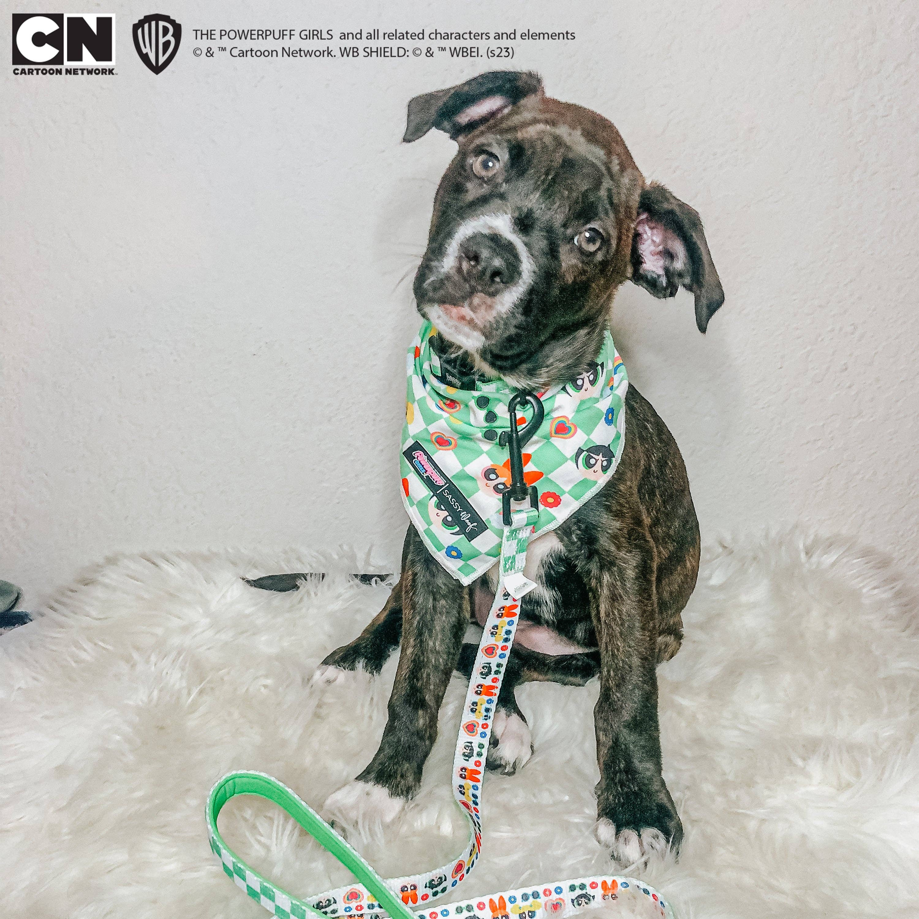 SASSY WOOF - Wholesale Pet Bandana - Dog - Dog Bandana - The Powerpuff Girls™ (Green)9