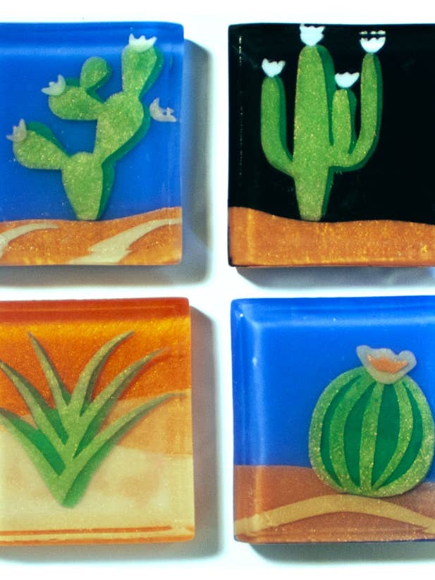 Desert Cacti for wholesale by Soapso