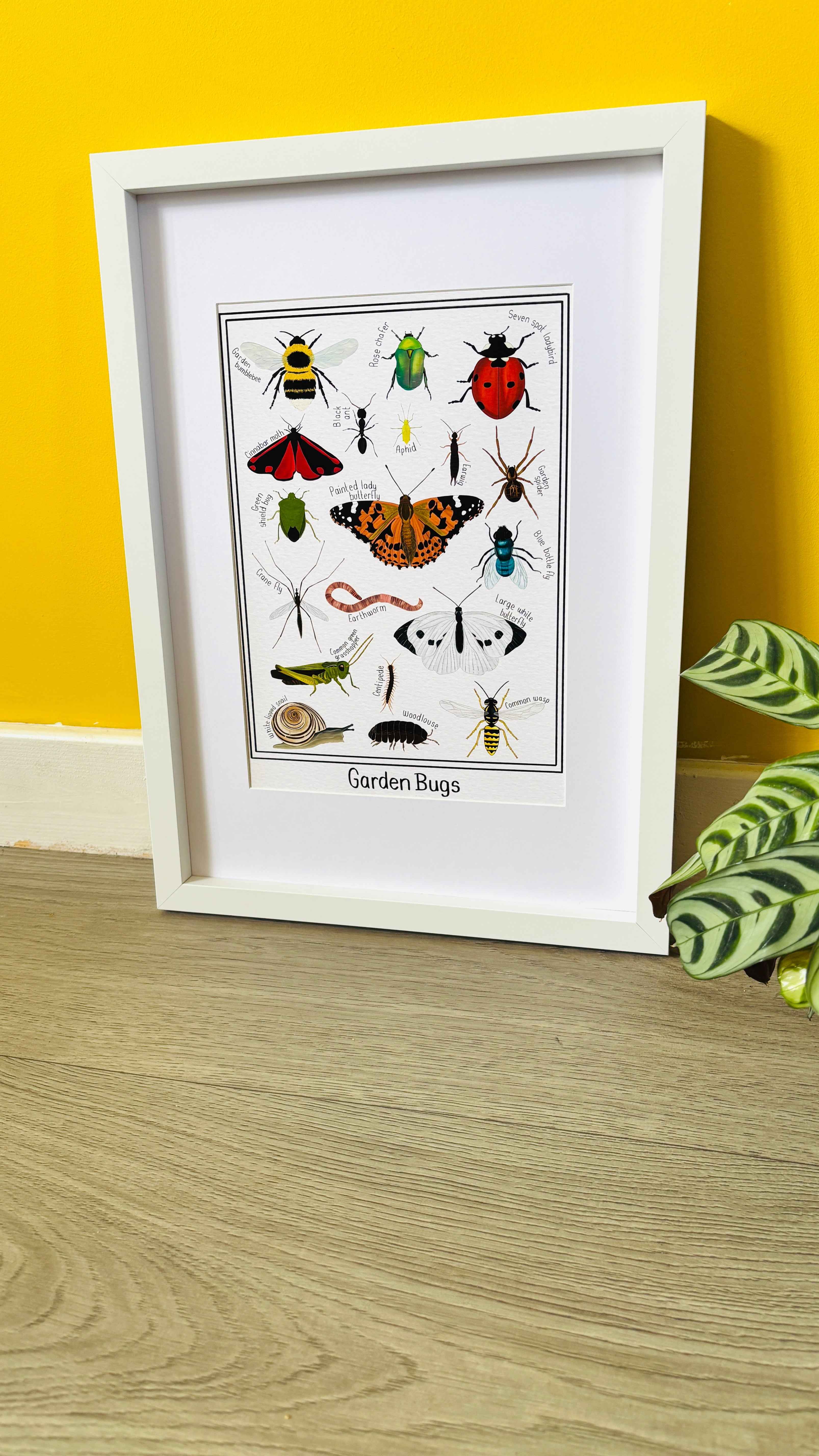 Pixiecraft - Wholesale Art Print - Garden Bug Wall Art Print: Nature Inspired Educational Prints8