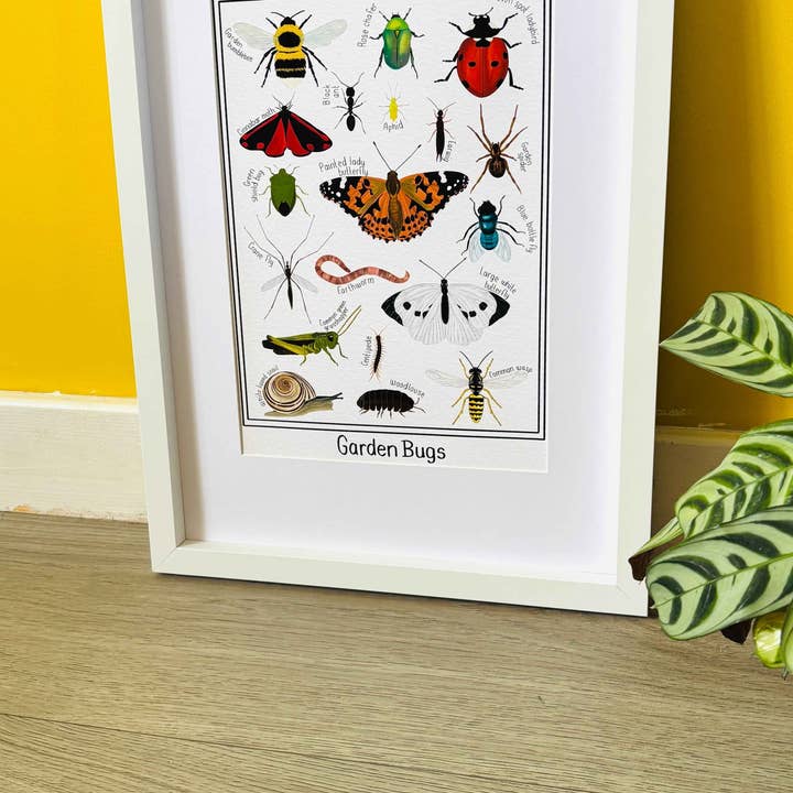 Pixiecraft - Wholesale Art Print - Garden Bug Wall Art Print: Nature Inspired Educational Prints8