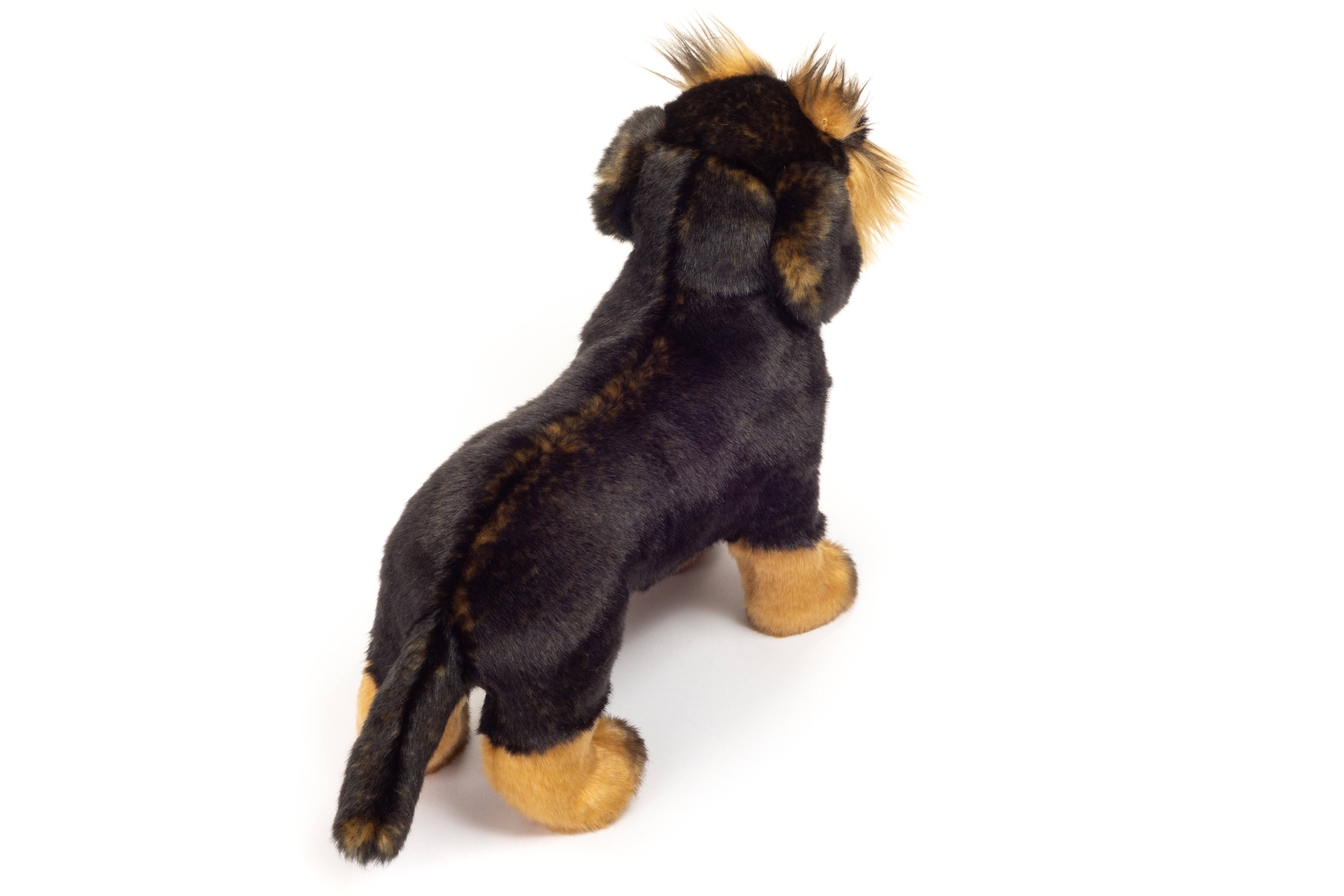 Teddy Hermann - Wholesale Stuffed/Plush Toy - Kids & Baby - Wire-haired dachshund standing 28 cm - plush toy - soft toy3