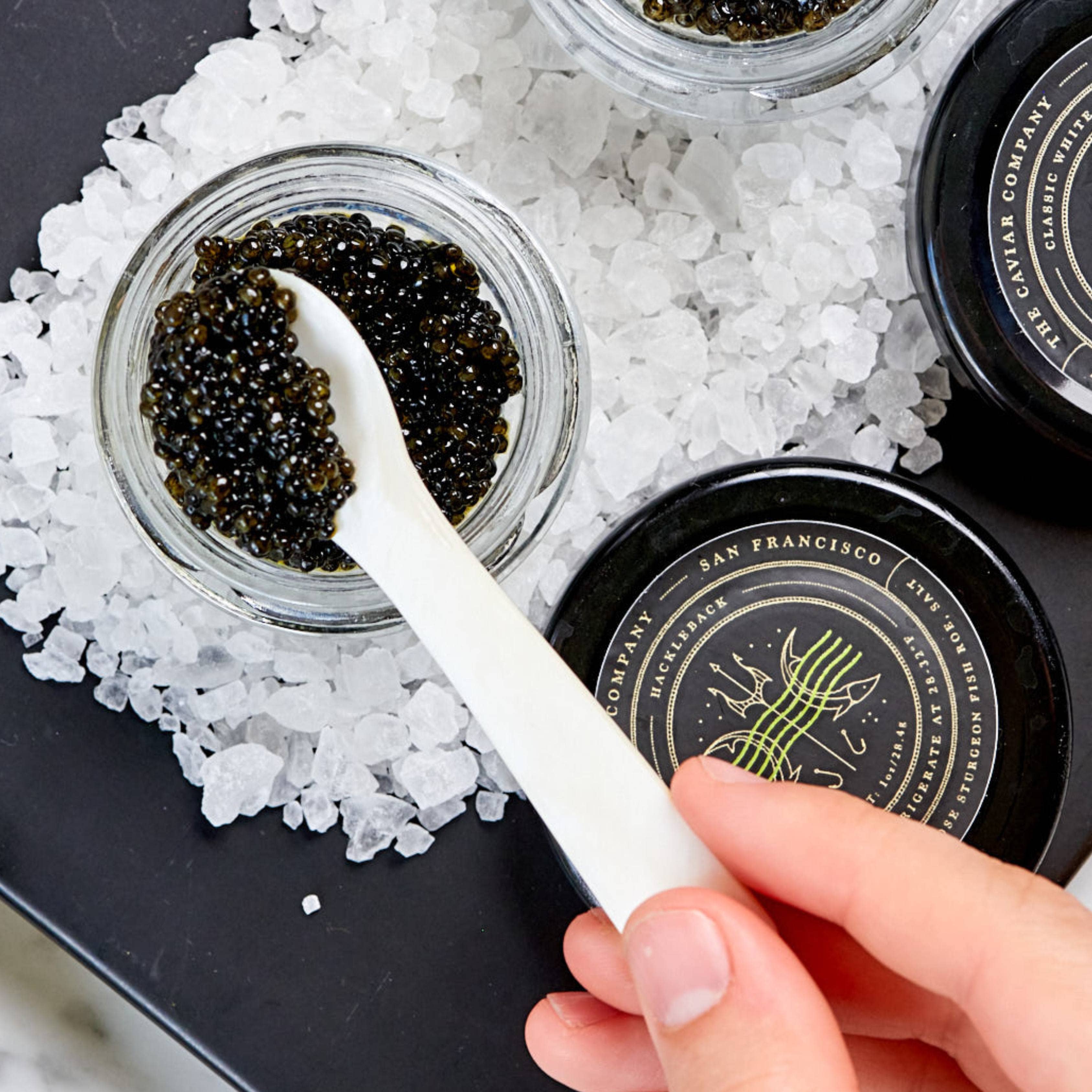 The Caviar Co. - Wholesale Fish/Seafood - Hackleback Caviar6