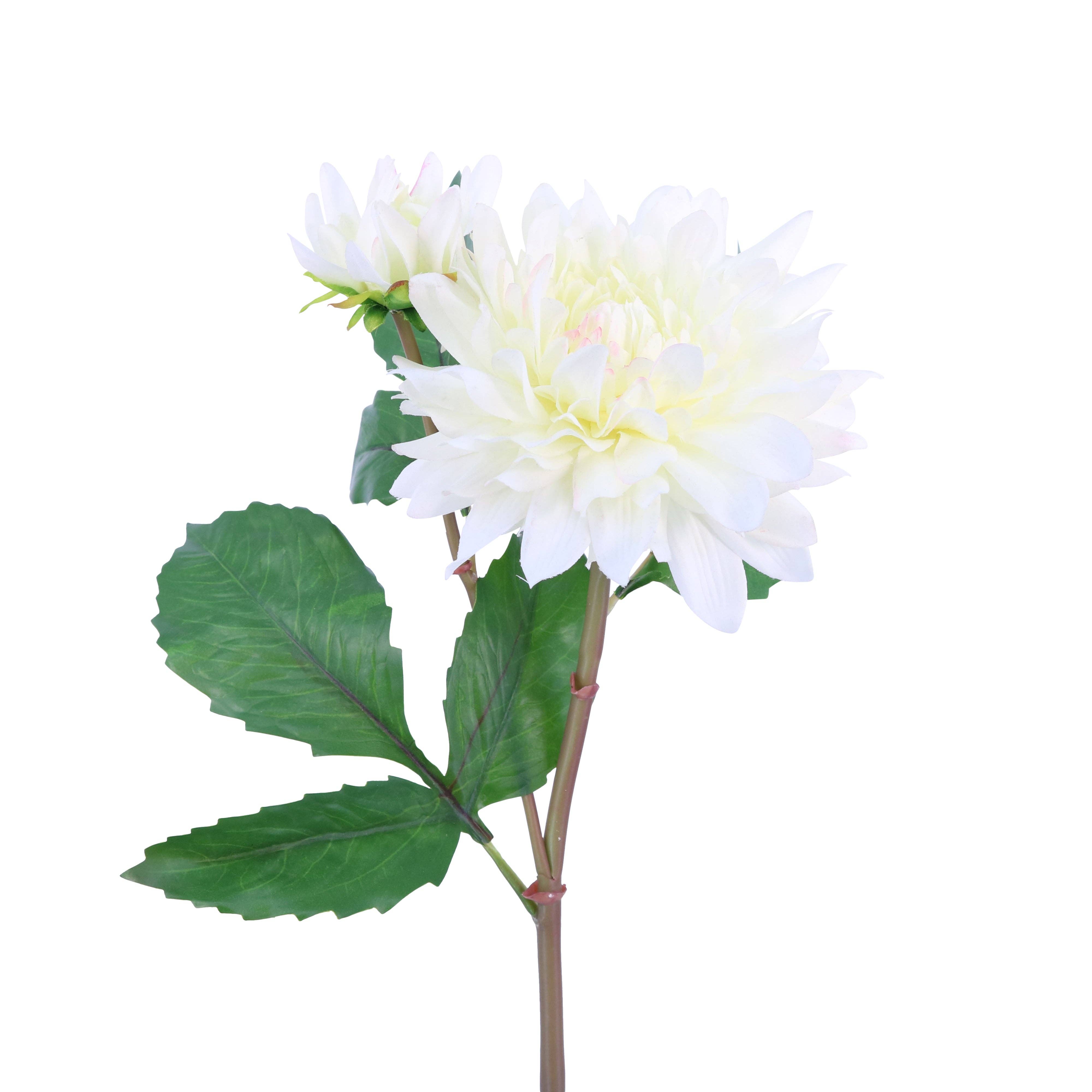 Green Import Limited - Vente Fleurs artificielles - Pulvérisateur FL10810 DAHLIA X1F1B, 22 pouces, 12 pouces, 96/7,58 pieds3