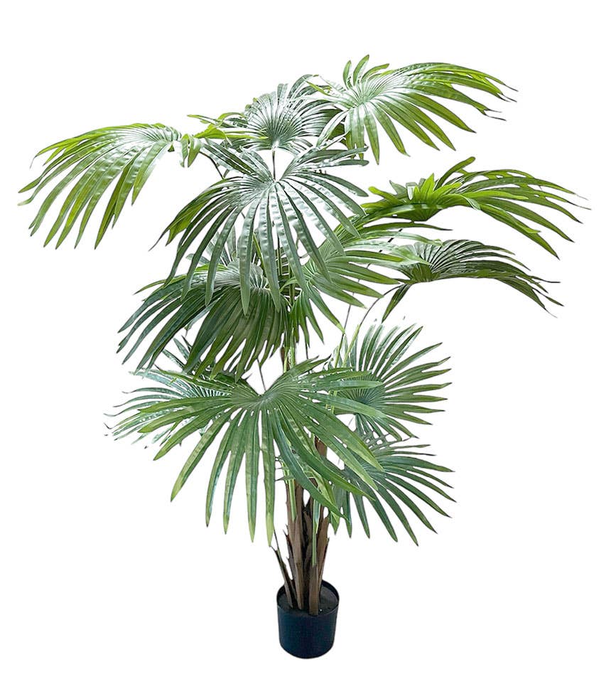 Aguilar Málaga - Wholesale Artificial Plant - PALM PLANT X3, 160cm