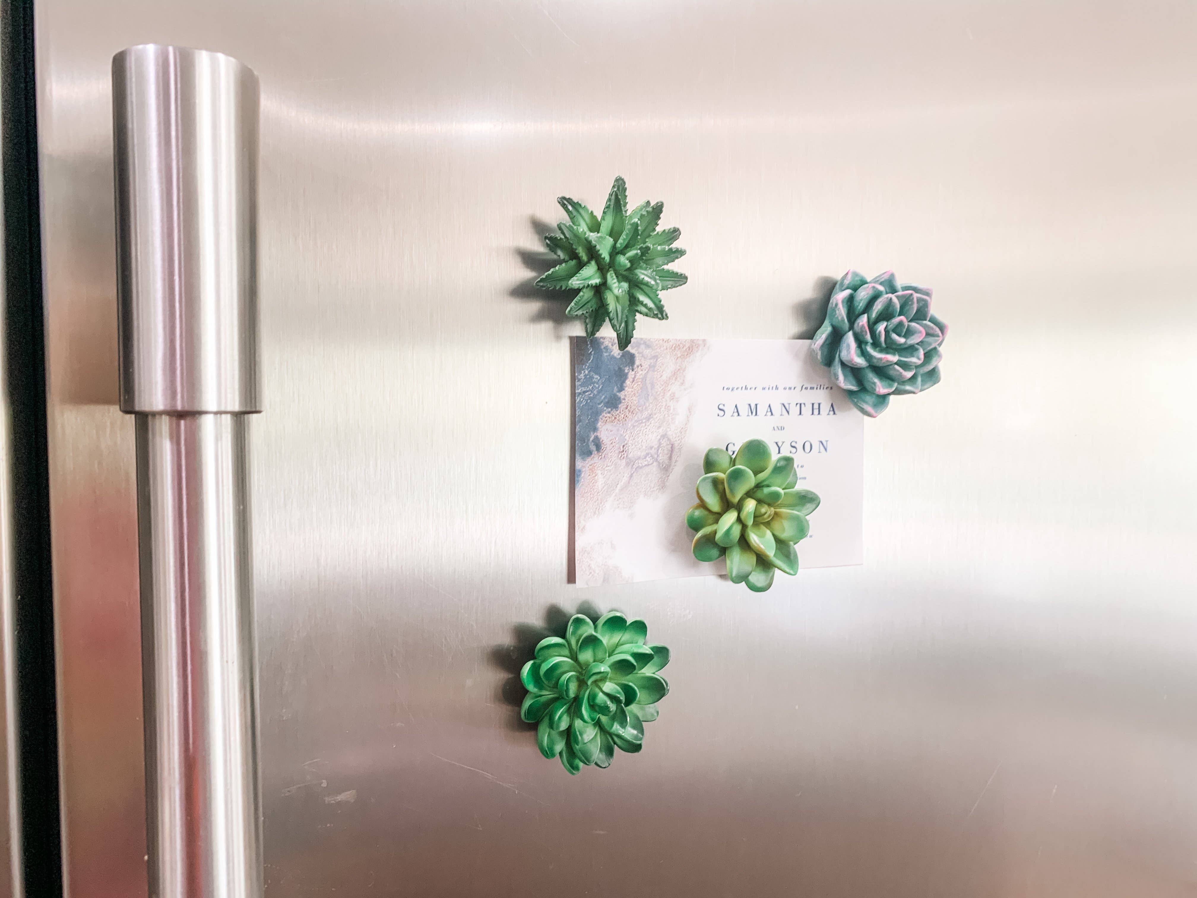 Woodbe Co - Wholesale Magnet - Mini 3D Succulent Resin Magnets11