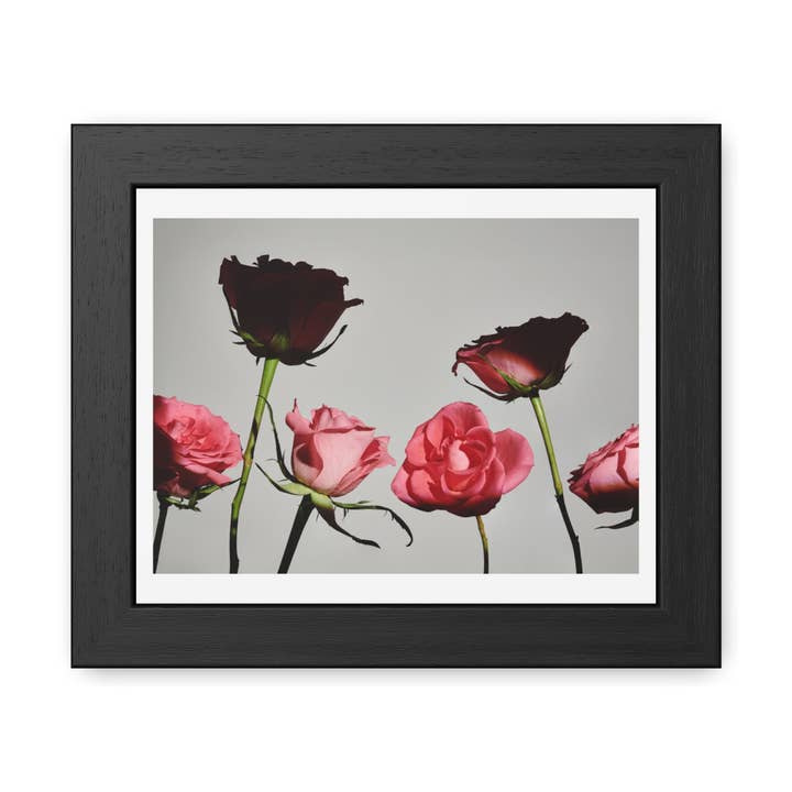 Roses - Affiche Encadrée Florale Élégante | Décoration Romantique pour la Maison pour la vente par Donkey Laserbeam