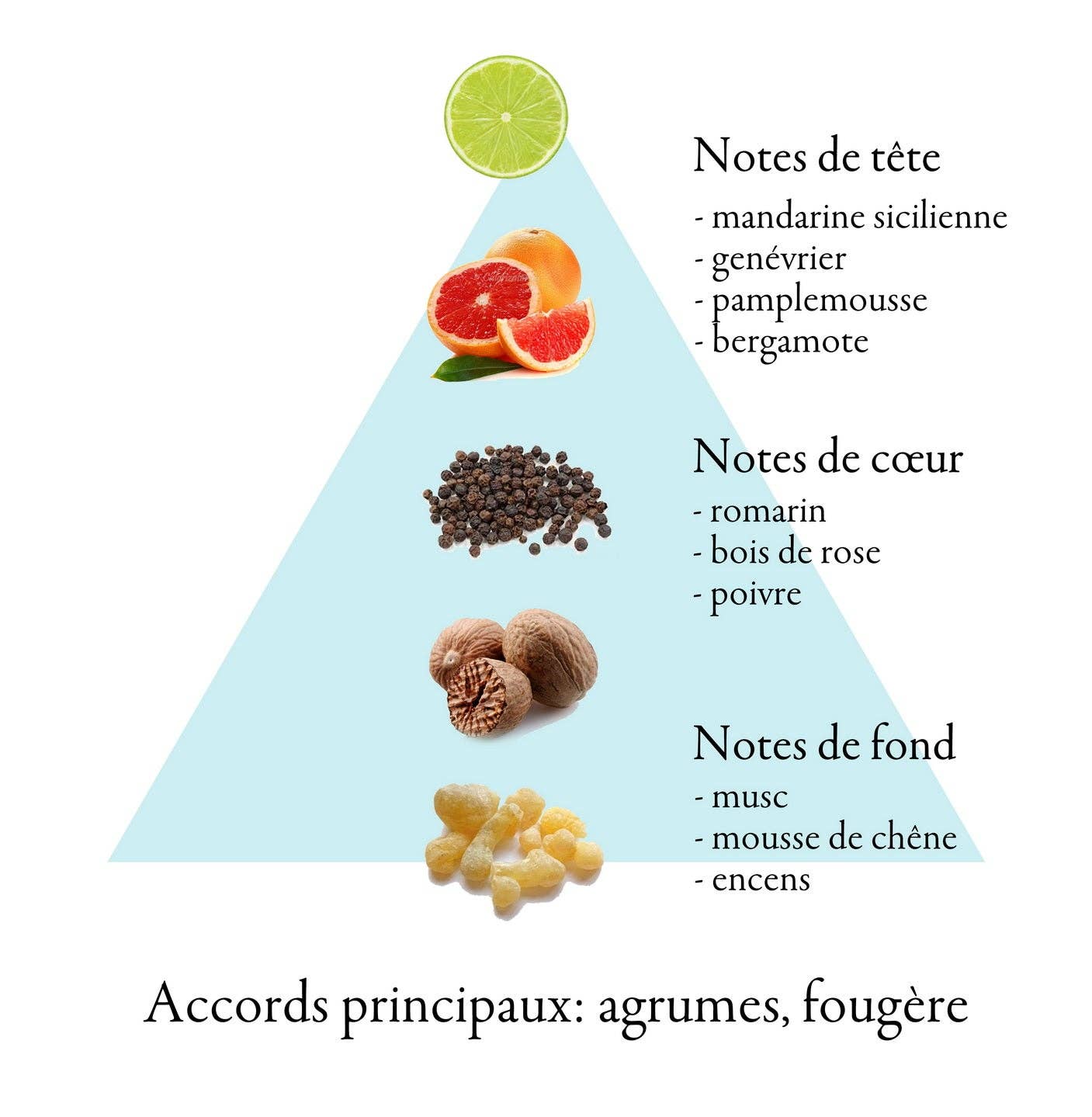 FAMILLE GRASSE PARFUMS - Wholesale Perfume/Eau de Toilette - BLU STREMO eau de toilette for men 100ml3