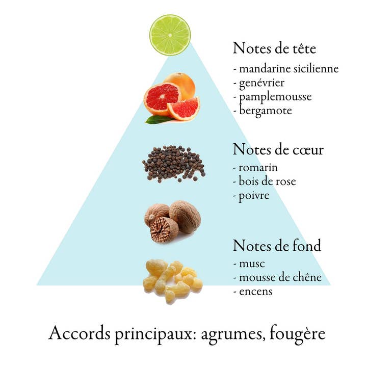 FAMILLE GRASSE PARFUMS - Wholesale Perfume/Eau de Toilette - BLU STREMO eau de toilette for men 100ml3