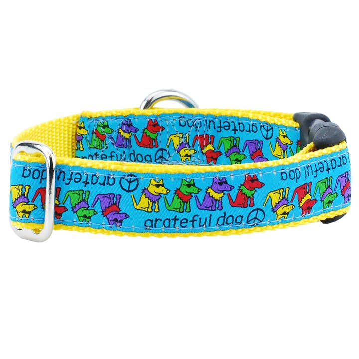 1" Grateful Dog Teddy The Dog Essential Collar for wholesale by 2 Hounds Design