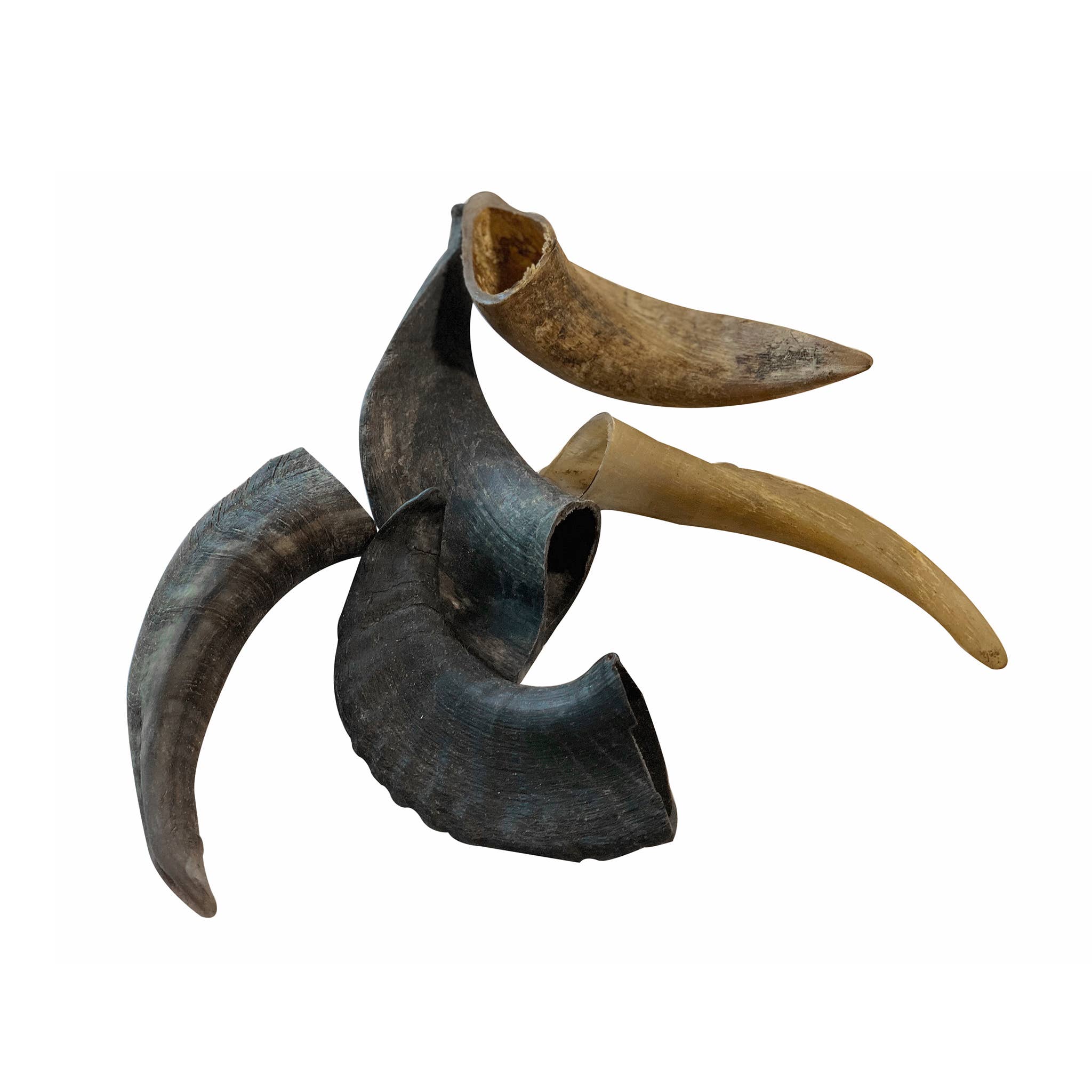 Rozie's Naturals - Wholesale Pet Treats - Dog - MOUNTAIN GOAT HORN-100% Natural Dog Treat & Chews,Grain-Free6